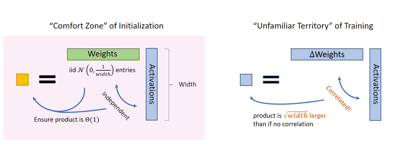 LLN_vs_CLT_during_NN_training