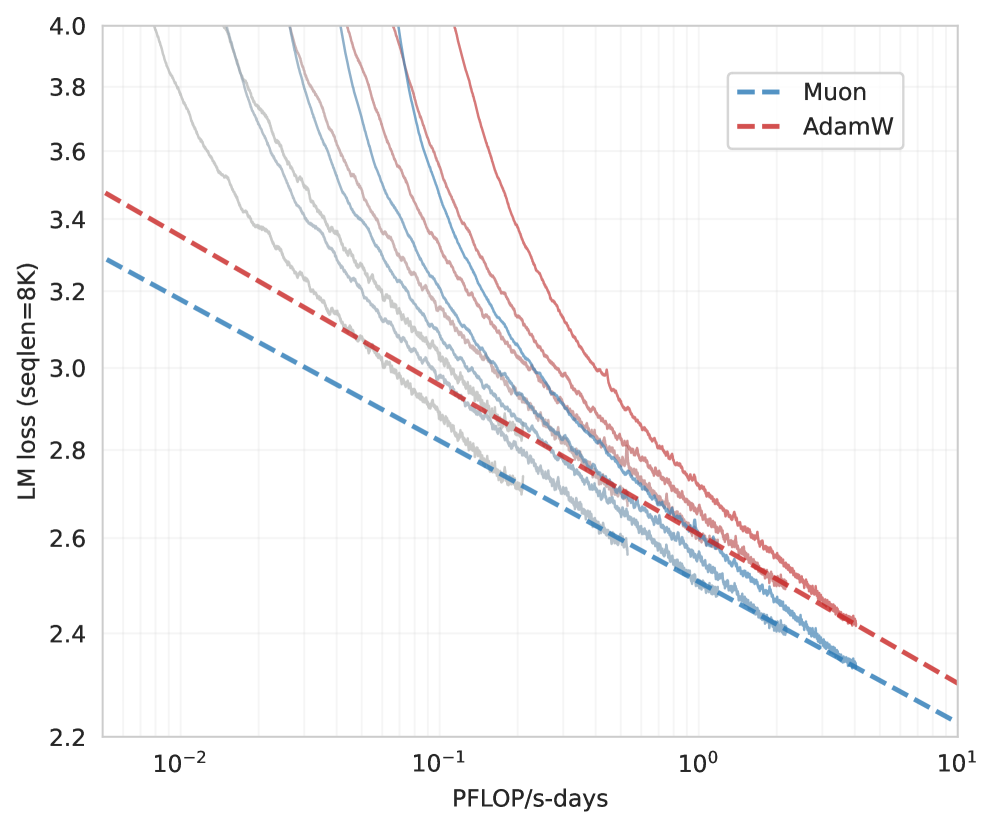 muon_vs_adam
